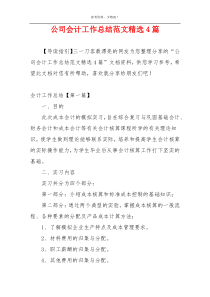 公司会计工作总结范文精选4篇
