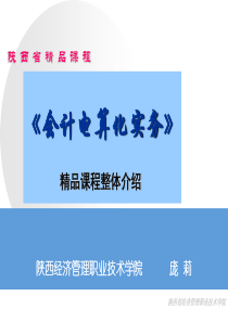 会计电算化实务精品课程