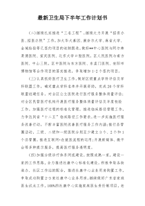 最新卫生局下半年工作计划书