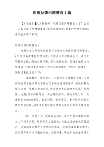 巡察反馈问题整改4篇