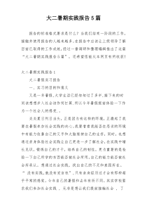 大二暑期实践报告5篇
