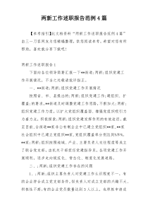 两新工作述职报告范例4篇