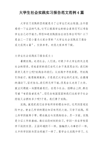 大学生社会实践实习报告范文范例4篇