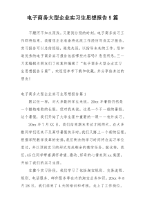 电子商务大型企业实习生思想报告5篇