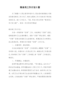 粮食局工作计划5篇