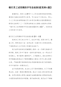 银行员工试用期的手写总结报告【范例4篇】