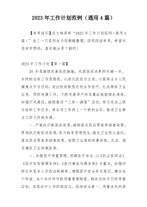 2023年工作计划范例（通用4篇）