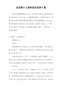 试用期个人辞职报告范例5篇
