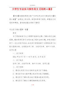 大学生专业实习报告范文【范例4篇】