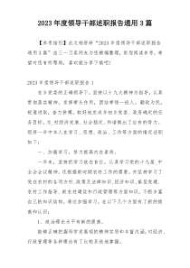2023年度领导干部述职报告通用3篇
