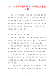 2023年业务员的年终工作总结范文最新4篇