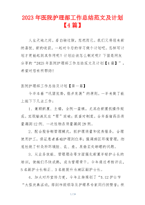 2023年医院护理部工作总结范文及计划【4篇】