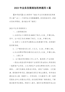 2023年业务发展规划范例通用3篇
