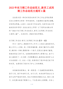 2023年实习期工作总结范文_新员工试用期工作总结范文通用4篇