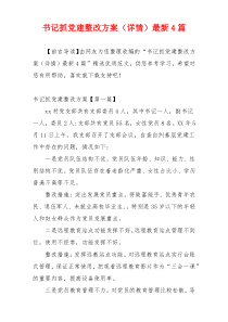 书记抓党建整改方案（详情）最新4篇
