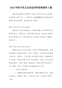 2023年班子民主生活会材料范例通用4篇