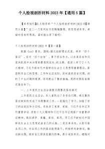 个人检视剖析材料2023年【通用5篇】