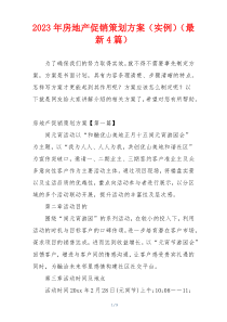 2023年房地产促销策划方案（实例）（最新4篇）