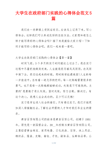大学生在政府部门实践的心得体会范文5篇