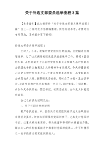关于补选支部委员选举流程3篇