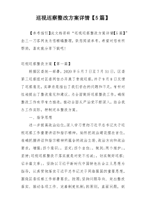 巡视巡察整改方案详情【5篇】