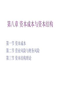 北大光华财务管理第八章