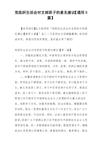 党组织生活会对支部班子的意见建议【通用5篇】