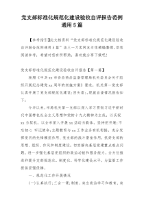 党支部标准化规范化建设验收自评报告范例通用5篇