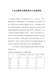 十五云南非公经济及中小企业状况(1)