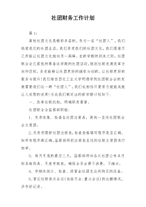 社团财务工作计划