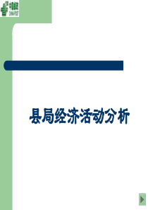 县局经济活动分析