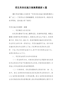 项目具体实施方案集聚最新4篇