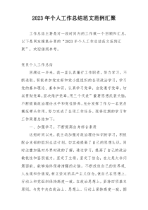 2023年个人工作总结范文范例汇聚