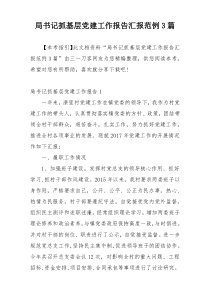 局书记抓基层党建工作报告汇报范例3篇