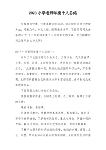 2023小学老师年度个人总结