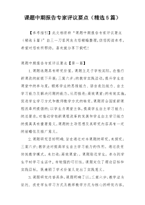 课题中期报告专家评议要点（精选5篇）