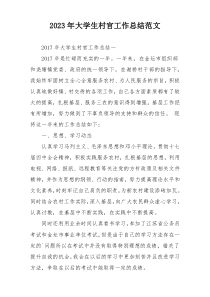 2023年大学生村官工作总结范文