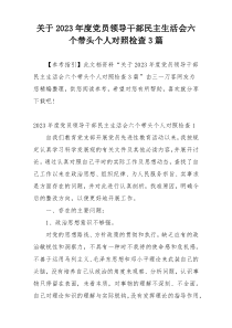 关于2023年度党员领导干部民主生活会六个带头个人对照检查3篇
