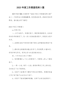 2023年度工作展望范例3篇