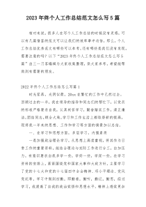 2023年终个人工作总结范文怎么写5篇