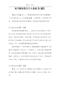 实习报告范文个人总结【4篇】