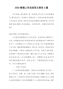 2023维稳工作总结范文报告2篇