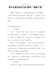 青年志愿者活动方案(案例)（精编5篇）