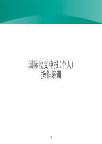 国际收支申报(个人)