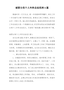 城管分局个人年终总结范例4篇
