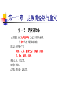89人体经络穴位图谱12肝经