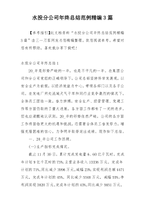 水投分公司年终总结范例精编3篇