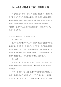 2023小学老师个人工作计划范例5篇