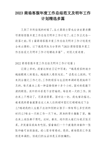 2023商场客服年度工作总结范文及明年工作计划精选多篇