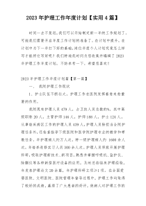 2023年护理工作年度计划【实用4篇】